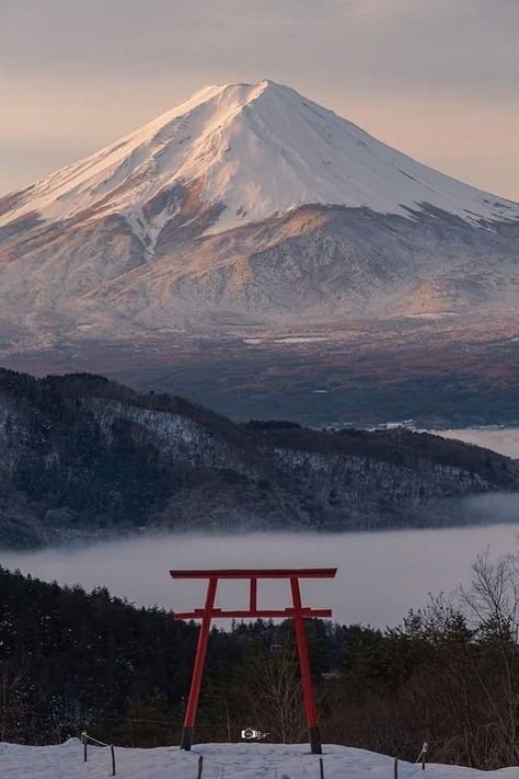 Japan In Winter Aesthetic, Japan Snow Aesthetic, Japan Nature Wallpaper, Japanese Nature Wallpaper, Japan Winter Aesthetic, Japan Nature Aesthetic, Japan Photography Aesthetic, Japan Winter Wallpaper, Japan Landscape Photography