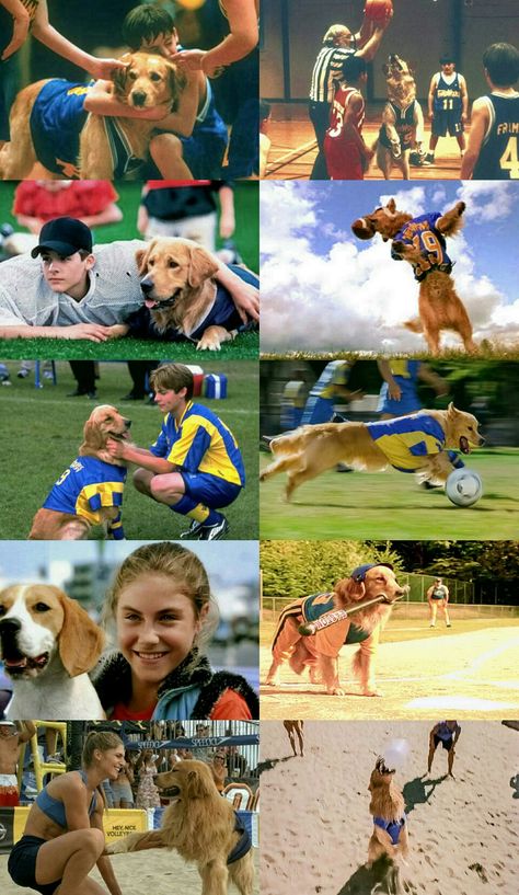 Air Bud Movie, Air Buddies Movies, Air Buddies, Buddy Movie, Godzilla Movie, Air Bud, Sports Ideas, Comfort Movies, Movie Directors