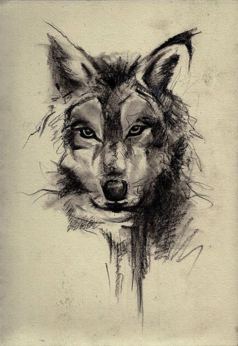 Lup Singuratic, Tattoo Wolf, Wolf Sketch, Sick Tattoo, Drawing Hands, Tattoo Zeichnungen, Wolf Face, Wolf Tattoo Design, Wolf Drawing