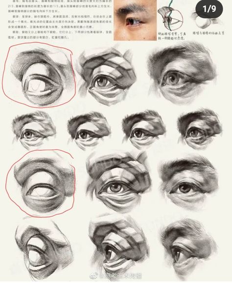 Improve Your Drawing Skills, How To Draw Anything, Improve Your Drawing, Eye Study, Drawing Study, Academic Drawing, Draw Anything, Nose Drawing, Human Anatomy Drawing