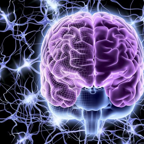 43 Facts About Your Brain That Will Blow Your Mind Ray Kurzweil, Sensory System, The Human Brain, Nerve Cell, Brain Power, Human Brain, Alzheimers, Brain Health, Neuroscience