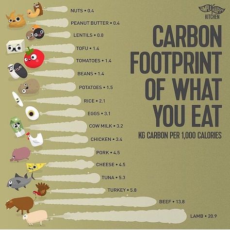 Food’s carbon footprint is the greenhouse gas emissions produced by growing, farming, rearing, processing, transporting, storing, cooking and disposing of the food we eat. Vegan Facts, Environmentally Friendly Living, 1000 Calories, Vegan Quotes, What You Eat, Sustainable Lifestyle, Save Earth, Vegan Life, Vegan Diet