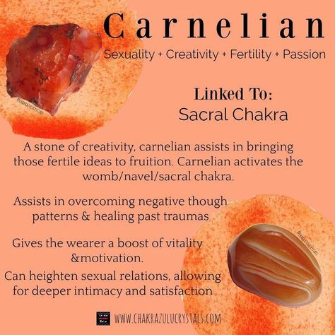 Crystal Bae💜 on Instagram: “Tonight's info card is on a fairly well known stone: CARNELIAN! . Talk about love-stoned! Carnelian is so versatile and in my opinion a…” Raw Carnelian, Crystal Guide, Carnelian Crystal, Crystals Healing Properties, Spiritual Crystals, Gemstone Meanings, Meditation Crystals, Healing Crystal Jewelry, Crystal Healing Stones