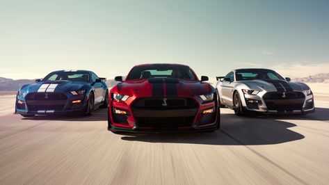 2020 Ford Mustang Shelby GT500 4k shelby wallpapers, hd-wallpapers, ford wallpapers, ford mustang wallpapers, cars wallpapers, 8k wallpapers, 5k wallpapers, 4k-wallpapers, 2020 cars wallpapers Ford Gt500, Shelby Mustang Gt500, Shelby Gt 500, New Ford Mustang, Mustang Wallpaper, Gt 500, Mustang Gt500, Shelby Mustang, Cars Wallpaper