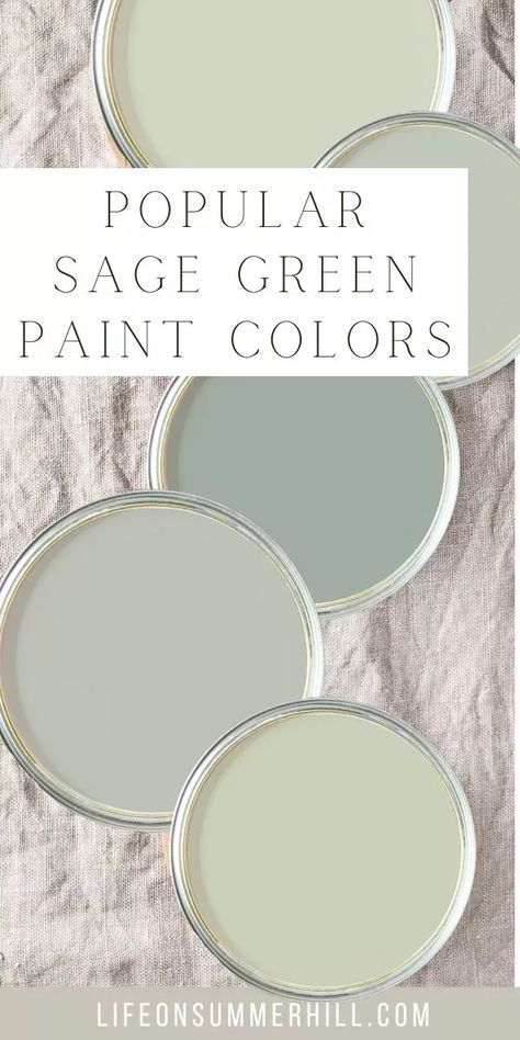 Behr Sage Green Paint, Best Sage Green Paint Colors, Best Sage Green Paint, Trim Living Room, Green Decor Ideas, Sage Green Paint Colors, Lowes Paint Colors, Green Exterior Paints, Sage Green Decor