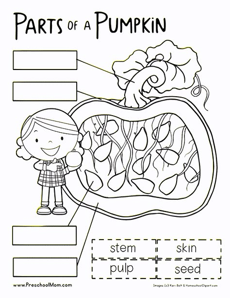 Our free preschool pumpkin printables help you plan out your Fall learning centers and classroom activities. Use our science sampler and moldy pumpkin experiment worksheet to add some hands on fun in your classroom.  Take a trip to the pumpkin patch and bring back some amazing teaching tools you can use throughout your Autumn thematic unit. … Pumpkin Preschool, Preschool Pumpkin, Pumpkin Lessons, Pumpkins Preschool, October Lessons, Parts Of A Pumpkin, Fall Worksheets, Preschool Mom, Homeschool Preschool Activities