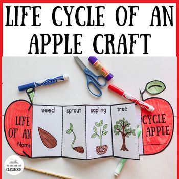 Picture Story For Kids, Apple Craft, Butterfly Life Cycle, Thematic Units, Learning Style, Unit Plan, Picture Story, Homeschool Science, Life Cycle