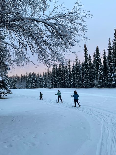 Fairbanks Alaska Aesthetic, Alaska Life Aesthetic, Winter In Alaska, Alaska Aesthetic Winter, Anchorage Alaska Winter, Alaska Skiing, Fairbanks Alaska Winter, Alaska In Winter, Aesthetic Alaska