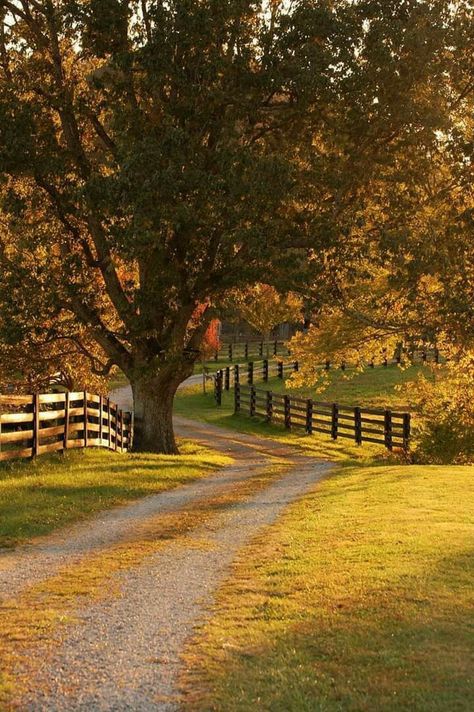 Country Side View Aesthetic, Country Scenes Farms Landscapes, Unique Landscaping, Country Photography, Country Lane, Dream Life House, Country Landscape, Pretty Landscapes, Countryside House