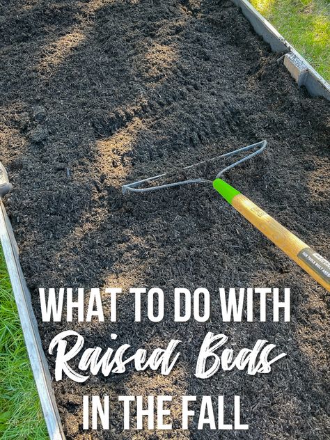 Wondering what to do with raised beds in the fall after your vegetables and flowers have faded? Here are my tips to prepare for next year! Fall Raised Bed Garden Layout, Small Yard Raised Garden Beds, Raised Cedar Garden Beds, Landscaping Around Raised Garden Beds, Flowers In Raised Beds, Fenced Garden With Raised Beds, Missouri Gardening, Raised Garden Beds Ideas Layout, Raised Bed Flower Garden