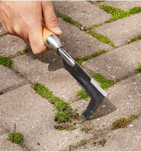 Composed of some of our favorite tools, this set lets you get rid of weeds wherever they are found. Each of the unconventional-looking tools is specialized for a particular kind of weeding: digging out deep taproots, sweeping shallow-rooted weeds out from soil, weeding between plants in crowded garden beds, and getting between patio stones to slice weeds out of the cracks. Save 15% on this selection of highly recommended tools compared to buying the items individually.Lee Valley Dandelion Digger Japanese Garden Tools, Best Garden Tools, Garden Tool Organization, Thriving Garden, Lee Valley, Vintage Garden Decor, Lawn And Landscape, Craftsman Style House Plans, Garden Tool