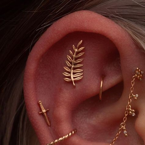 Lynn on Instagram: "A truly stunning all gold setup for this ear, featuring some fun florals accented with diamonds and dangles. Styled by @fairywithaneedle and pierced/installed by me. LA pals go check them out and get fancy! . #safepiercing #appmember #earcuration #earstyling #rosegold #chains #charms" Piercings Minimal, Ear Setup Gold, Constellation Piercing, Industrial And Daith Piercing, Curated Ear Piercing With Industrial, Celestial Ear Curation, Celestial Ear Stack, Celestial Curated Ear, Constellation Piercings