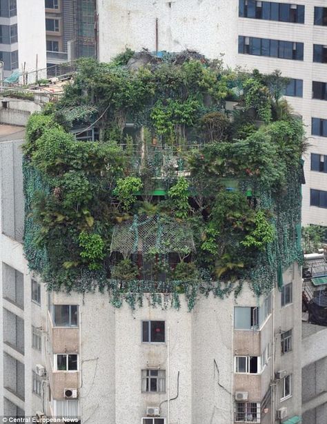 Penthouse Suite, Green City, Rooftop Garden, Roof Garden, Concrete Jungle, Terrace Garden, Green Roof, Brutalism, Pretty Places