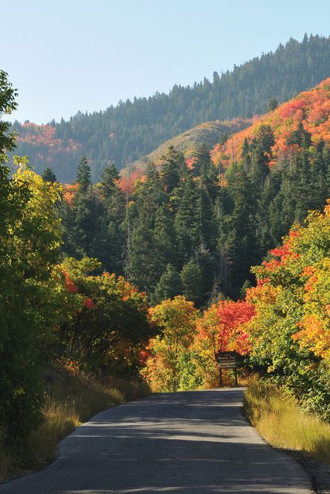 Travel Utah, Utah Style, Utah Usa, Utah Photography, Park City Utah, Travel Outdoors, Autumn Scenery, Salt Lake City Utah, Green Landscape