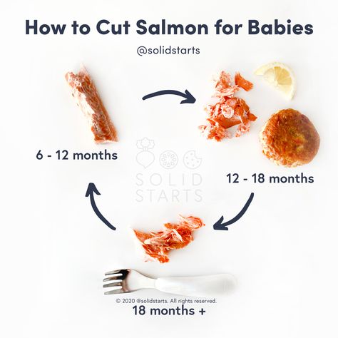 Salmon may be introduced as soon as your baby is ready to start solids, which is generally around 6 months of age. ➡️ 6 to 12 months: Be sure to remove all bones and cook fish all the way through. Offer your baby pieces of the cooked fish about the size of two adult pinky fingers together. ➡️ 12 to 18 months: This is a great age to introduce canned salmon in the form of patties or salmon salad. ➡️ 18 to 24 months: Give salmon cakes a try! Visit our website for more info & recipes. Salmon For Baby, Baby Weaning Foods, Solid Starts, Baby Food Guide, Cooked Fish, Baby Led Weaning First Foods, Weaning Foods, Cook Fish, Canned Salmon