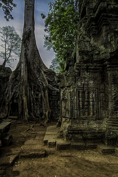 Tomb Raider Angkor Tom Siem Reap #Cambodiatravel . Photo: Robert Davies on 500px.com Temple In Jungle, Overgrown Temple, Cambodia Temple, Sanjusangendo Temple, Angkor Thom, Cambodia Temple Angkor Wat, Phnom Penh Cambodia, Angkor Wat Cambodia, Khmer Empire