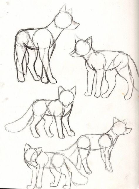 Fox Sketch, Animal Sketch, Easy Animal Drawings, Drawing Hands, Drawing Eyes, Easy Animals, Seni Dan Kraf, 강아지 그림, Drawing Faces