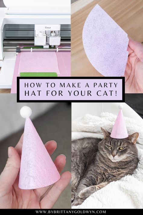 Diy Cat Birthday Hat, Cat Birthday Decorations Diy, Birthday Party For My Cat, Birthday Party For A Cat, Birthday Party For Cats Ideas, Cat Birthday Photoshoot Ideas, Mermaid Cat Birthday Party, Cat Birthday Party For Cats, Birthday Party For Cat