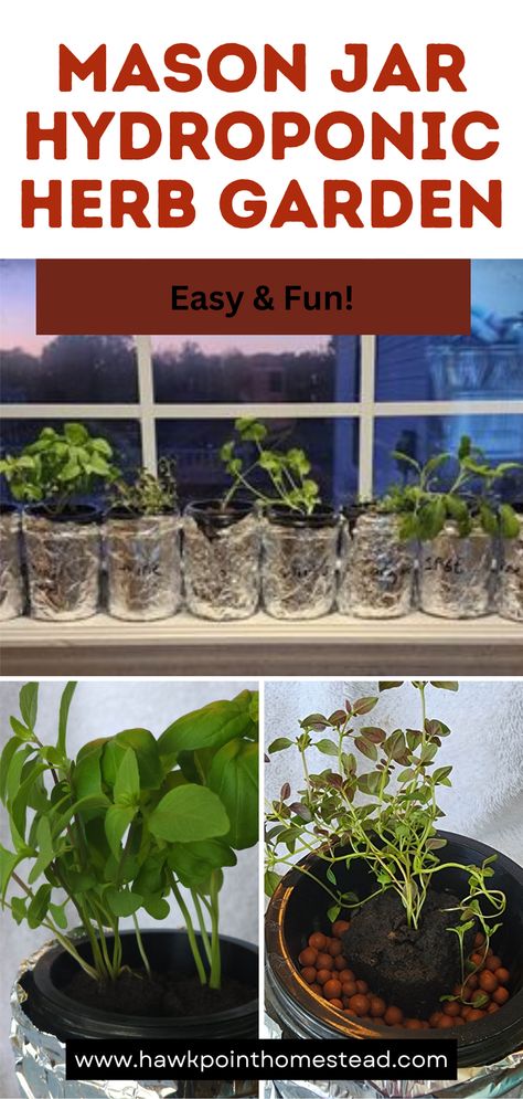 This easy and fun step by step guide shows you how to start a mason jar hydroponic herb garden. It is so easy and actually has great results in growing herbs indoors.  The article gives you everything that you need and includes detailed instructions. It would be such a fun kid activity, but is also good for adults to start an herb garden easily that you can grow and use anytime! Mason Jar Herb Garden Indoor, Growing Herbs Inside, Jar Herb Garden, Hydroponic Gardening Diy, Hydroponic Herb Garden, Indoor Hydroponic Gardening, Indoor Herb Garden Diy, Jar Garden, How To Grow Herbs