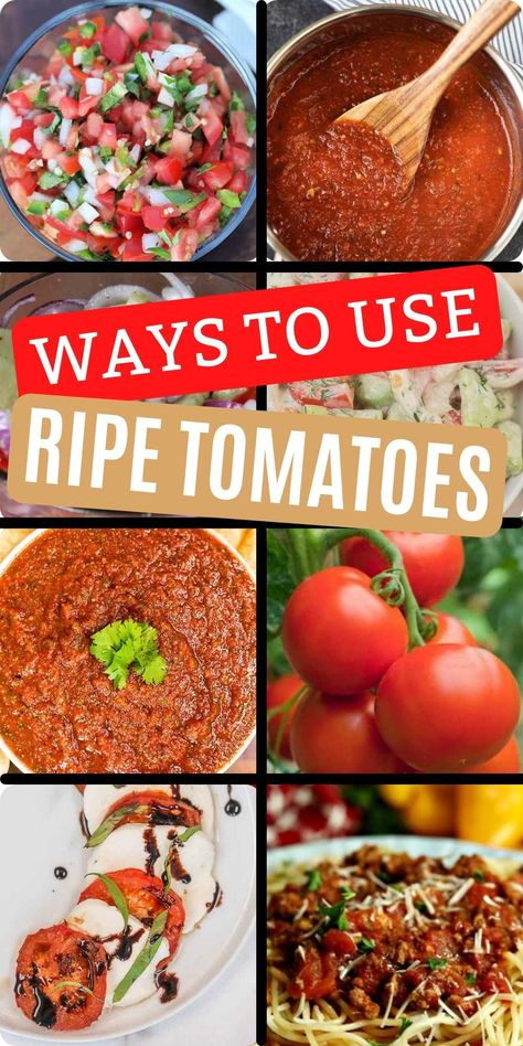 How To Use Up Fresh Tomatoes, What Can You Do With Tomatoes, Soft Tomatoes What To Do With, What Can I Make With Roma Tomatoes, Easy Meals With Tomatoes, What To Do With Mushy Tomatoes, What To Do With Too Many Fresh Tomatoes, Ripe Tomatoes Recipes, Whole Tomatoes Recipes