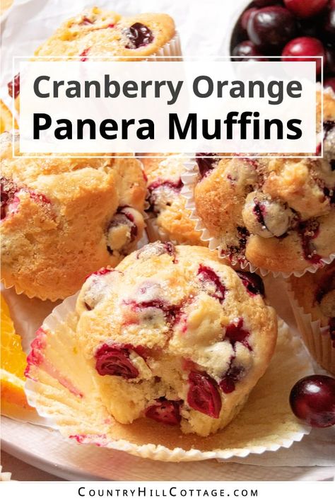 Panera Muffins, Dried Cranberry Muffins, Cranberry Orange Muffin Recipe, Orange Muffin Recipe, Fruit Muffins, Cranberry Orange Muffins, Jumbo Muffins, Bakery Style Muffins, Orange Muffins