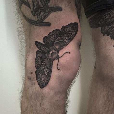 Moth On Knee Tattoo, Moth Under Knee Tattoo, Moth Tattoo Above Knee, Knee Moth Tattoo, Moth Tattoo Knee, Black Moth Tattoo, Moth Knee Tattoo, Side Knee Tattoo, Side Of Knee Tattoo