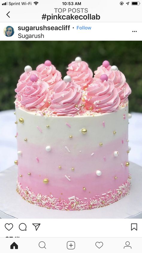 Poppy Cake, Sprinkles Birthday Cake, Girly Cakes, 귀여운 음식 그림, Pink Birthday Cakes, Beautiful Birthday Cakes, Valentine Cake, Cake Decorating Designs, Pretty Birthday Cakes