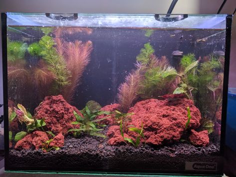 Lava Rock Aquascape, Rock Aquascape, Aquarium Fish Tank, Aquascaping, Lava Rock, Red Rock, Aquarium Fish, Fish Tank, I Hope