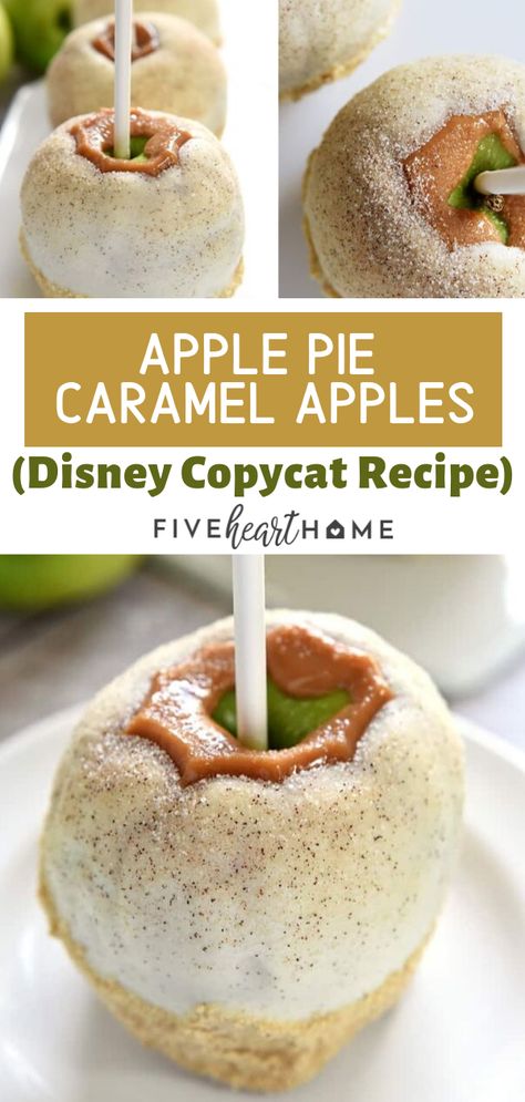 Carmel Apple Recipe, Apple Pie Caramel Apple, Caramel Apple Pie Recipe, Caramel Apple Pie Recipes, Gourmet Candy Apples, Gourmet Caramel Apples, Caramel Apples Homemade, Caramel Apples Recipe, Chewy Caramel