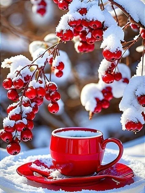 Coffee Flowers And Chocolates | Good morning! 💖🎭🌸 | Facebook Good Morning Winter Images, Good Morning Winter, Art Deco Artwork, Good Morning Coffee Images, Morning Coffee Images, Happy Weekend Quotes, Coffee Flower, Winter Coffee, Coffee Pictures