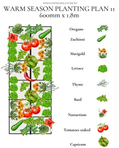 Instagram Salad Garden Layout, Summer Garden Vegetables, Tomato Stakes, Salad Garden, Vegetable Garden Raised Beds, Vegetable Garden Planning, Outdoor Designs, Garden Vegetables, Planting Plan