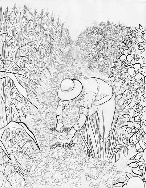 Cornfield Drawing Easy, Cornfield Drawing, Ivan Cruz, Field Sketch, African Drawings, Old High School, Black And White People, Architecture Drawing Plan, Nature Art Drawings