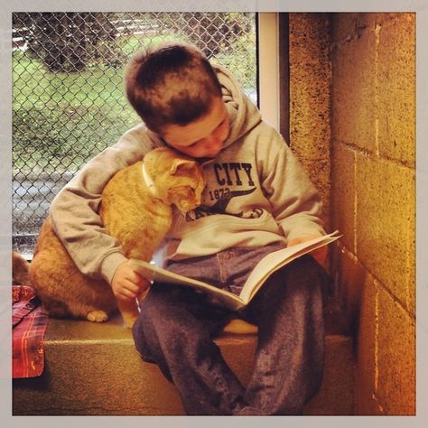 Kids reading to shelter cats, Book Buddies @ Animal Rescue League of Berks County PA (berksarl.org/programs/book-buddies) Can I be a kid again? Happy Kitten, Cool Pics, Faith In Humanity Restored, Humanity Restored, Reading A Book, Cat Shelter, Kids Reading, Faith In Humanity, Crazy Cat Lady