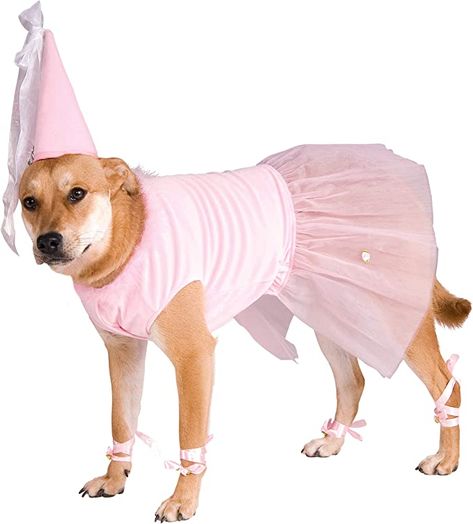 Amazon.com: Rubie's Big Dog Princess Dog Costume, XXXL : Pet Supplies Princess Pet, Princess Dog, Funny Costumes, Dog Halloween Costumes, Cute Halloween Costumes, Big Dog, Dog Costume, Dog Costumes, Dog Pin