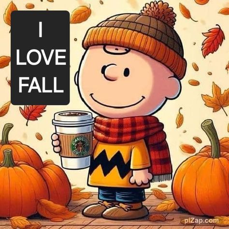 Happy Thanksgiving Meme, Thanksgiving Meme, Charlie Brown Quotes, Charlie Brown Halloween, Fall Faves, Snoopy Images, Peanuts Cartoon, Cute Fall Wallpaper, Snoopy Wallpaper