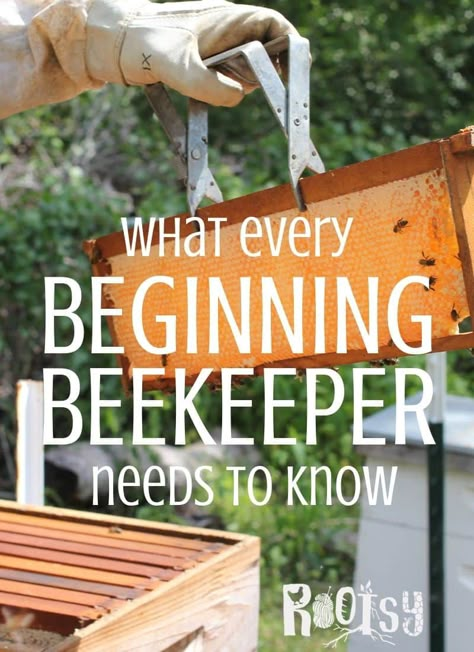 How To Start Beekeeping, Backyard Bees, Honey Bee Farming, Honey Bees Keeping, Bee Hive Plans, Backyard Bee, Beekeeping For Beginners, Raising Bees, Bee Hotel