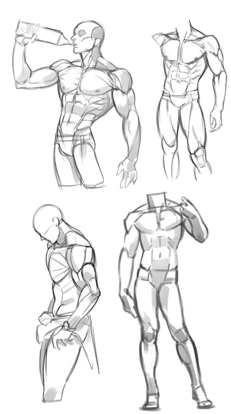 Muscle Figure Reference, Man Physique Sketch, Muscle Figure Drawing, Muscular Male Poses Drawing Reference, Male Anotamy Poses, Drawing Reference Poses Male Muscle, Male Antonamy Drawing, Back Muscle Drawing, Muscles Reference Drawing