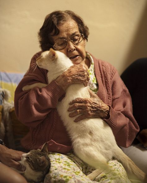 She And Her Cat, Cat People, Old Woman, All About Cats, Crazy Cat Lady, Beautiful Cats, Animals Friends, Crazy Cats, Cat Lady