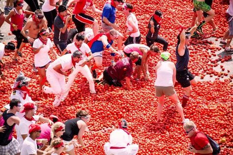 Come participate in the biggest smashed tomato fight of the world! Each participant throws tomatoes and gets involved in this tomato fight purely for entertainment purposes. Since 1945 it has been held on the last Wednesday of August, during the week of festivities of Buñol. La Tomatina Festival, Spanish Festivals, La Tomatina, Big Tomato, Spain Culture, Festival Dates, Festivals Around The World, Weird Holidays, Bull Run