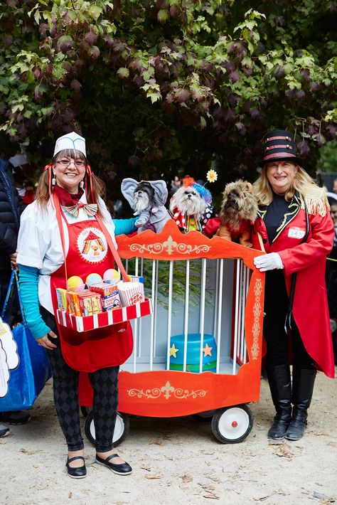 The 40+ Best Dog Costumes EVER  #refinery29  http://www.refinery29.com/2015/10/96371/new-york-dog-parade-pictures#slide-5  A circus-themed float doubles as a relaxing ride.... Family Circus Halloween Costumes, Family Circus Costumes, Circus Family Costume, Circus Themed Costumes, Carnival Diy, Circus Halloween Costumes, Family Costumes Diy, Best Dog Costumes