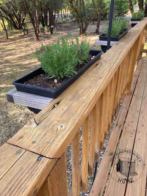 Deck Railing Planters Diy, Deck Rail Planters, Diy Floating Deck, Rail Planters, Railing Planter Boxes, Patio Planter Boxes, Diy Cedar Planter Box, Deck Railing Diy, Deck Planter Boxes