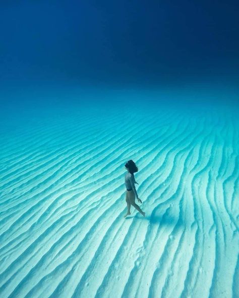 Thalassophobia Pictures, Thalassophobia Aesthetic, Dissociation, Ocean Vibes, Under Water, Marine Biology, The Bahamas, Underwater Photography, 영감을 주는 캐릭터