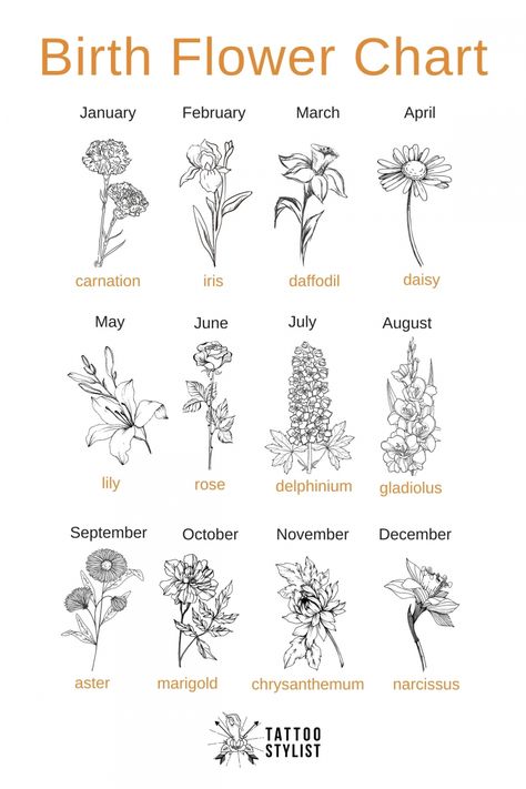 Birth Flower Chart infographic Flower Chart, Flower Names, Gold Name Necklace, Jewelry Bridesmaid, Name Jewelry, Protective Packaging, Birth Flower, Birth Month, Birth Flowers