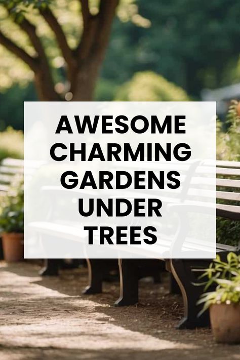 Have you ever thought of turning that lovely shaded spot under your trees into a fancy garden getaway? It's like creating a magical retreat! Explore easy tips on gardening with shade plants, comfy seating arrangements, and fun decorations to brighten up that cozy space. From colorful flowers to lush greenery, let your creativity shine and make the most of your outdoor area while keeping it super chill and enjoyable. Your ideal shaded area awaits, and it’s just a garden away. Save this for your next garden project! Backyard Tree Decorating Ideas, Flower Bed Under Tree Landscaping Ideas, Garden Under Trees Ideas, Planting Under Trees Ideas, Seating Under Tree, Sitting Area Under Tree, Under Tree Seating Area, Landscaping Under Trees, Garden Tree Decorations