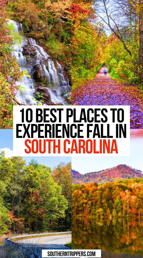 10 Best Places to Experience Fall in South Carolina Fall In South Carolina, Greer South Carolina, Charleston South Carolina Fall, Travelers Rest South Carolina, Best October Vacations, South Carolina Road Trip, South Carolina Fall, North Carolina Fall, Fall In The South