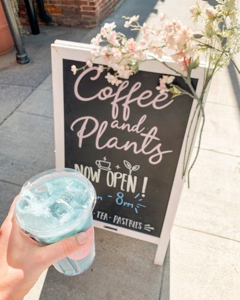 Coffee Shop Sidewalk Sign, Coffee And Plants Quotes, Opening A Plant Shop, Flower And Coffee Shop Aesthetic, Coffee Plant Shop, Plant And Coffee Shop, Coffee And Plant Shop, Plants In Mugs, Plant Coffee Shop