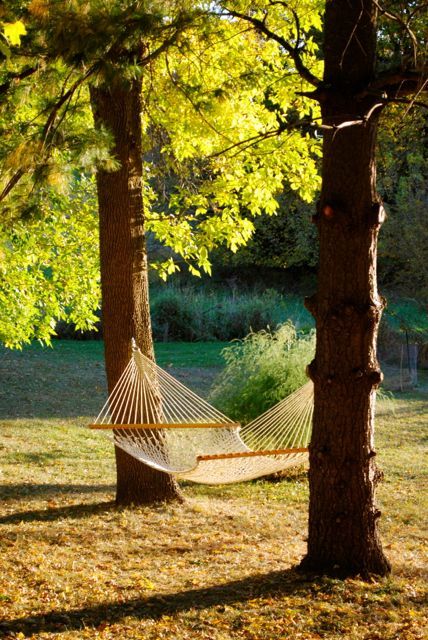 Hammock In Forest, Hammock In Trees, Hammock Under Tree, Hammock Vibes, Hammock Aesthetic, South Of France House, Hammock Tree, Net Hammock, Tree Hammock