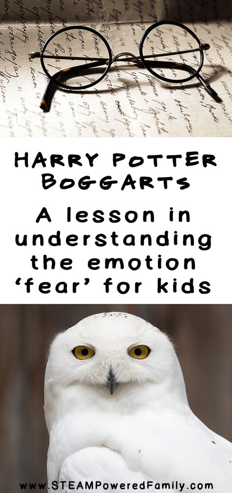 How Harry Potter sent my kids on a major literary and emotional growth journey. Harry Potter Unit Study, Mental Health For Kids, Harry Potter Lessons, Harry Potter Classroom Theme, Harry Potter Classes, Emotional Intelligence Activities, Harry Potter Activities, Harry Potter School, Harry Potter Classroom