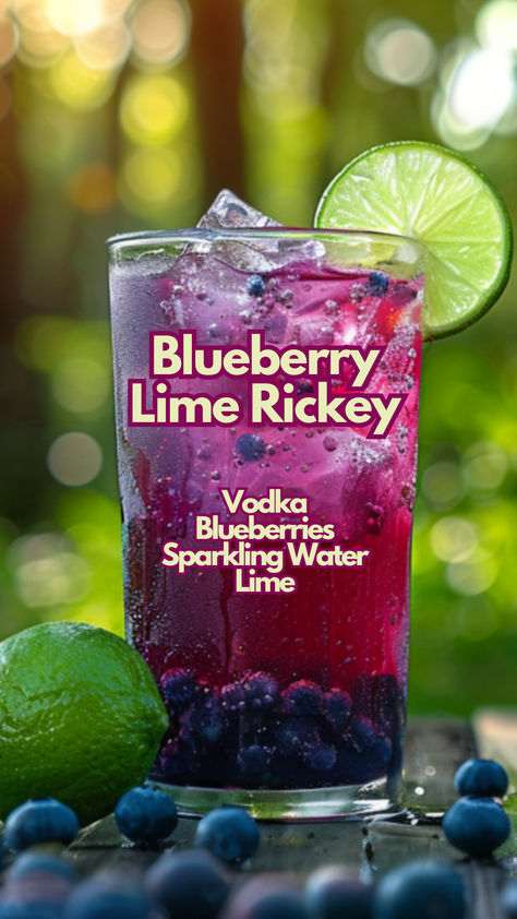 Blueberry Lime Rickey Blueberry Vodka Drinks, Blueberry Drink, Blueberry Drinks, Bartender Drinks Recipes, Blueberry Vodka, Summer Vodka Cocktails, Lime Rickey, Fruity Cocktail, Bartender Drinks