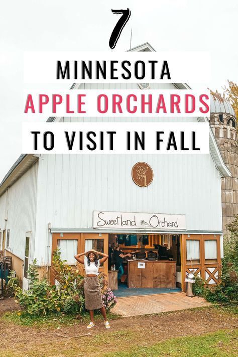 Minnesota Fall Bucket List, Minneapolis In The Fall, Minnesota Fall Trips, Fall In Minneapolis, Minnesota In October, Fall In Minnesota, Minnesota Travel Fall, Adventure Dates, Fall Minnesota